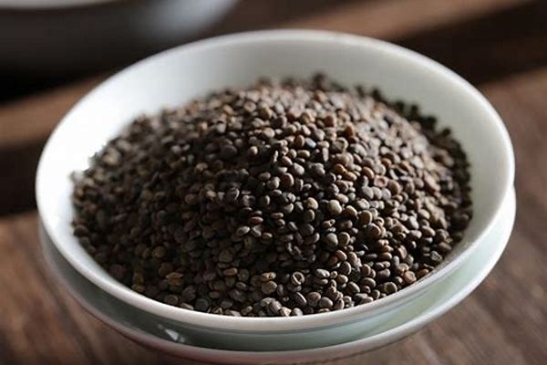 1clqLBbE1XPjLoSl