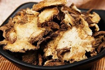 Angelica Root - 1 lb (454 g)