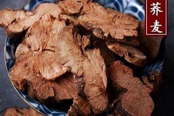 Wild Buckwheat Rhizome - 1 lb (454 g)