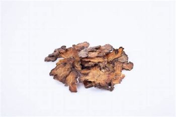 Chuanxiong Rhizome - 1 lb (454 g)