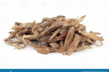 Stemona Root - 1 lb (454 g)