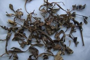 Aconite Leaf - 1 lb (454 g)