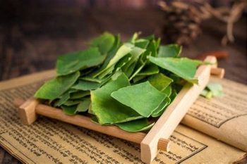 Lotus Leaf - 1 lb (454 g)
