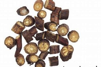Menispermum Root - 1 lb (454 g)