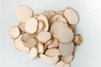 Sparganium Rhizome - 1 lb (454 g)