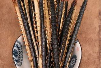 Silkworm Pupa - 1 lb (454 g)