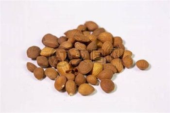 Safflower - 1 lb (454 g)