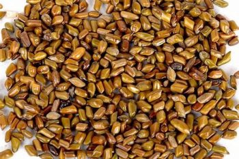 Cassia Seed - 1 lb (454 g)
