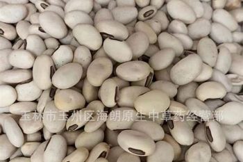Sword Bean - 1 lb (454 g)