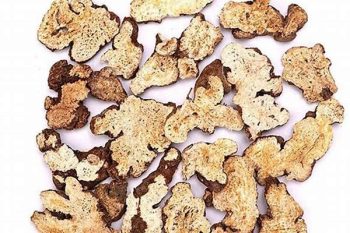 Atractylodes Rhizome - 1 lb (454 g)