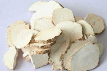 Taiwan Angelica Root - 1 lb (454 g)