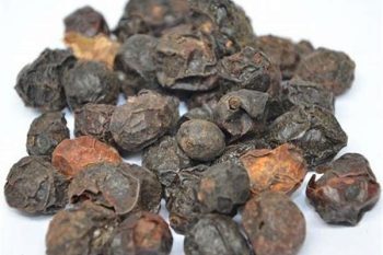 Choerospondias Fruit - 1 lb (454 g)