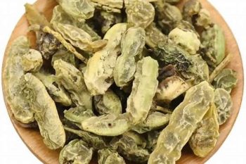 Sophora Fruit - 1 lb (454 g)