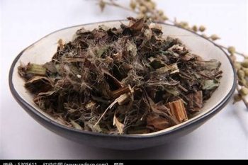 Cirsium Herb - 1 lb (454 g)
