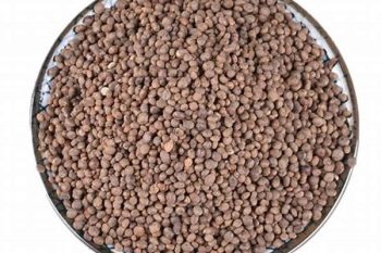 Impatiens Seed - 1 lb (454 g)