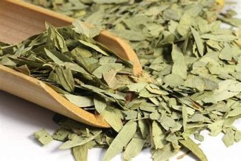 Senna Leaf - 1 lb (454 g)