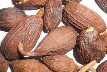 Poria - 1 lb (454 g)