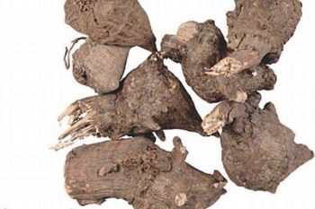 Monkshood Root - 1 lb (454 g)