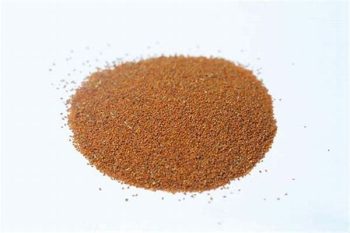 Descurainia Seed - 1 lb (454 g)