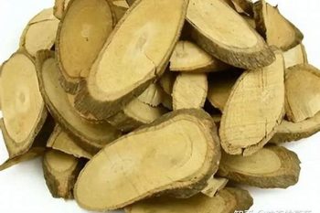 Zanthoxylum Root - 1 lb (454 g)