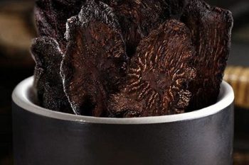 Eucommia Bark - 1 lb (454 g)