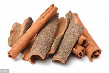 Cinnamon Bark - 1 lb (454 g)