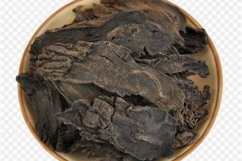 Figwort Root - 1 lb (454 g)