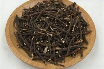 Clematis Root - 1 lb (454 g)