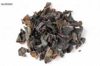 Kelp - 1 lb (454 g)