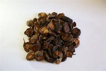 Brucea Fruit - 1 lb (454 g)