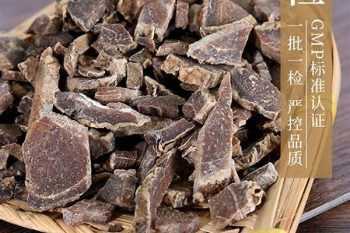 Curcuma Rhizome - 1 lb (454 g)