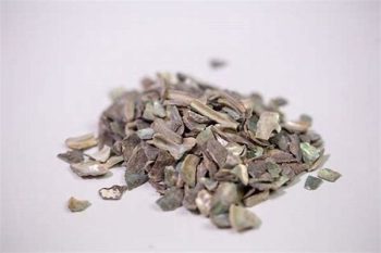 Abalone Shell - 1 lb (454 g)