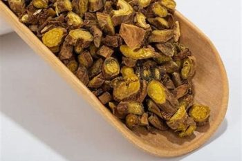Scutellaria Root - 1 lb (454 g)