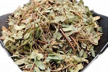 Abrus Herb - 1 lb (454 g)