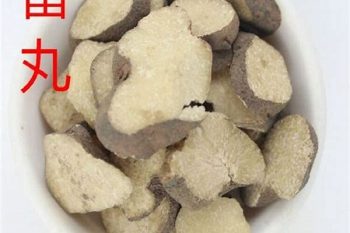 Omphalia - 1 lb (454 g)