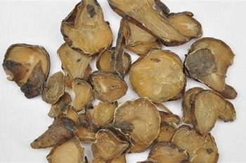 Aconite Root - 1 lb (454 g)