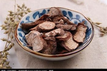 Ampelopsis Root - 1 lb (454 g)