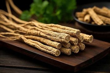 Codonopsis Root - 1 lb (454 g)