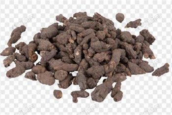 Semiaquilegia Tuber - 1 lb (454 g)