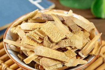Turtle Shell - 1 lb (454 g)