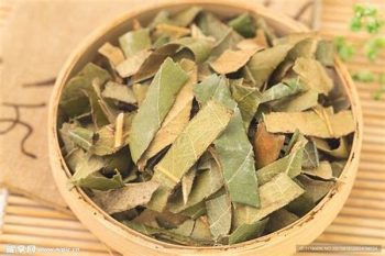 Loquat Leaf - 1 lb (454 g)
