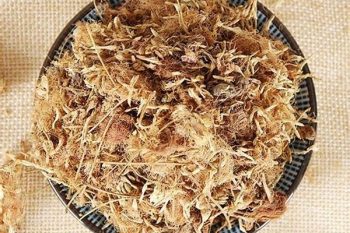 Polygala Root - 1 lb (454 g)