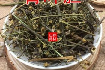 Swertia Herb - 1 lb (454 g)