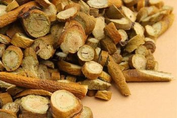 Viscum - 1 lb (454 g)
