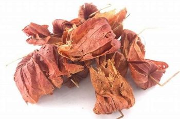 Franchet Groundcherry Calyx - 1 lb (454 g)