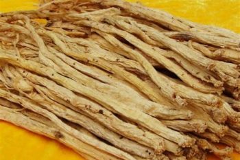 Changium Root - 1 lb (454 g)