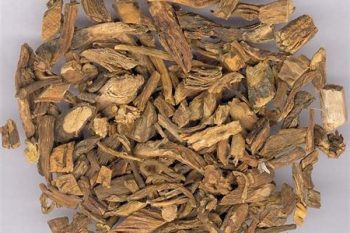 Gentiana Root - 1 lb (454 g)