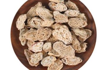 Adenophora Root - 1 lb (454 g)