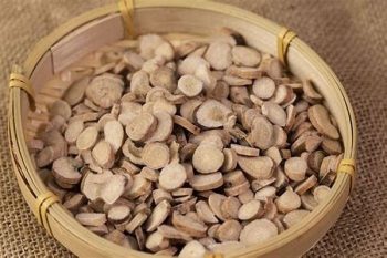 Rehmannia Root - 1 lb (454 g)