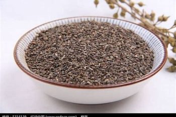 Motherwort Fruit - 1 lb (454 g)